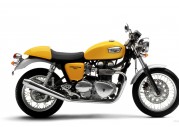 Triumph Thruxton